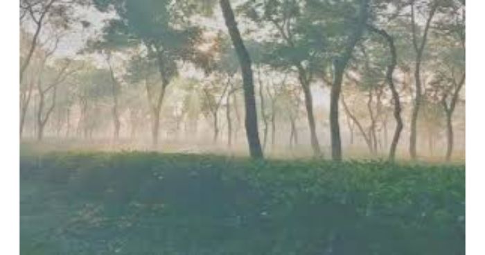 শ্রীমঙ্গলে দেশের সর্বনিম্ন তাপমাত্রা ৫.৫ ডিগ্রি