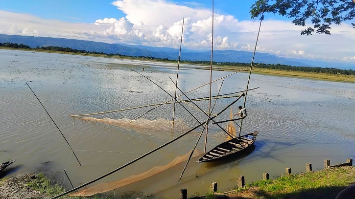 সরকারি নজরদারি আর জবাবদিহিতার অভাবে হাওরে মৎস্য সংকট, সতর্কবার্তা
