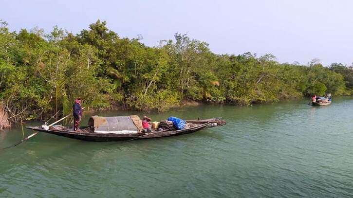 সুন্দরবনে প্রবেশে আজ থেকে ৩ মাসের নিষেধাজ্ঞা