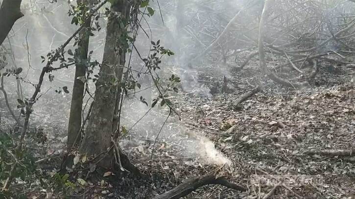 কলমতেজি ‘নিয়ন্ত্রণে’, সুন্দরবনের নতুন এলাকায় ফের আগুন