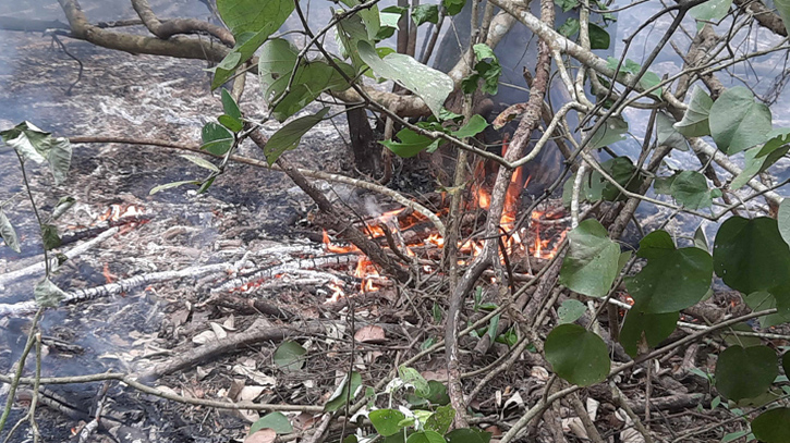 নদীতে ভাটা থাকায় পানির সংকট, এখনও পুড়ছে সুন্দরবন