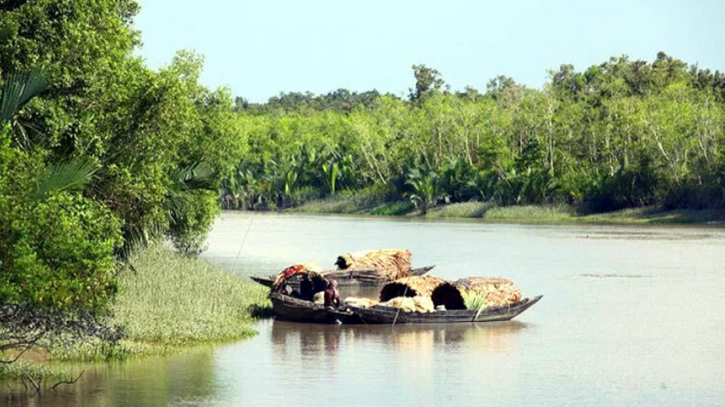 সুন্দরবনের ১০ কিলোমিটার এলাকার মধ্যে নতুন শিল্পপ্রতিষ্ঠান স্থাপন