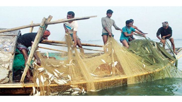 আজ রাতে শেষ হচ্ছে  ইলিশ ধরার নিষেধাজ্ঞা