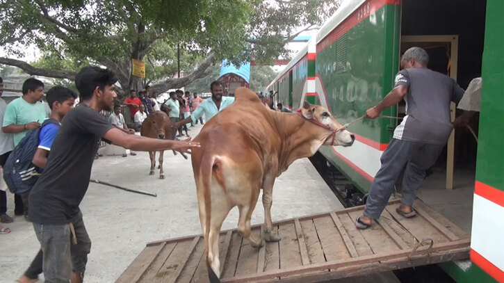 পশু পরিবহনে বিশেষ ট্রেন চলবে এবারও