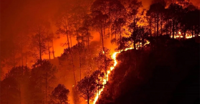 ক্যালিফোর্নিয়ার দাবানলের সূত্রপাত হত্যাকাণ্ড ধামাচাপা দিতে গিয়ে
