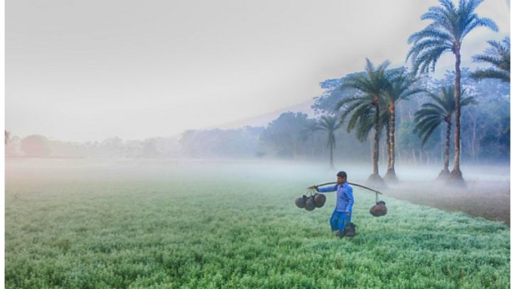 আজ থেকে শৈত্যপ্রবাহ কিছুটা কমার পূর্বাভাস