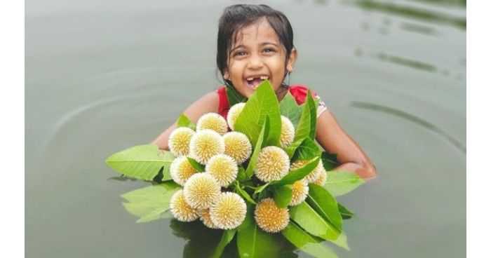 করোনাকালে অশ্রুবর্ষণ নিয়ে এলো আষাঢ়