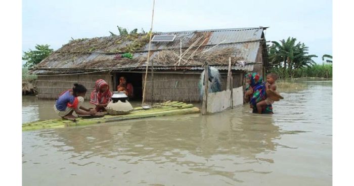 রাজবাড়ীর চরে পানিবন্দি ৮ হাজার পরিবার