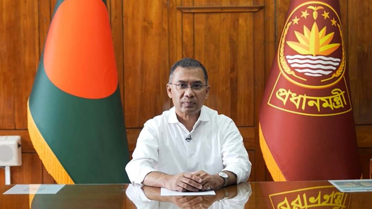 সড়ক ও বাঁধ সুরক্ষায় বিন্না ঘাস ব্যবহারের উদ্যোগ